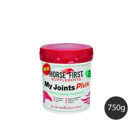 My Joints Plus