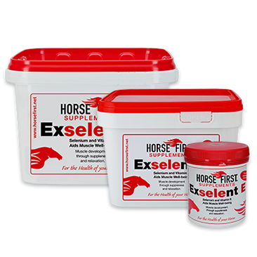 Exselent E