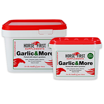 Garlic & More